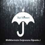 Bilgi