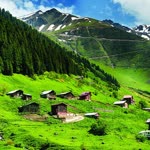 Yavuz