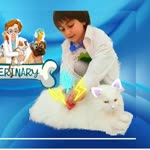 Maceracı