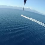 Tuna
