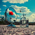 Gönül