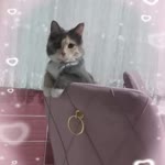 Hatice