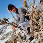 Gökhan