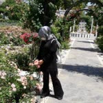 Filiz