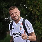 Alp