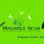 Musluoğlu