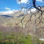 Erhan