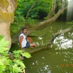 Halit