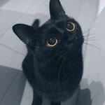 Hekaaa