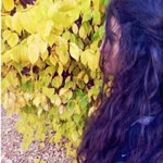 Buse