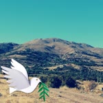 Akın