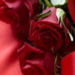 Ebru