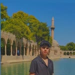 Vedat