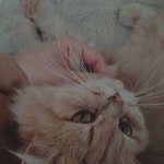Emine