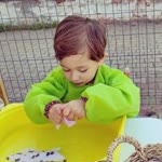 Deniz