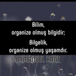 Ayşe