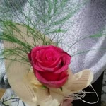 Hatice