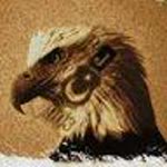 Hasan