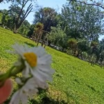 Hatice