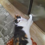 Fatoş