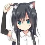 Kedi