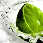 Bll