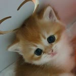Emine
