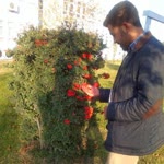 İbrahim