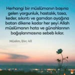 Zübeyde