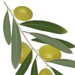 Alaaddin