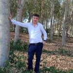 Murat