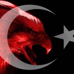 Duygu