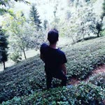 Yusuf