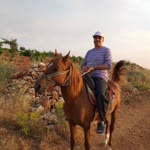 Murat