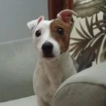 Kadir
