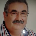 Arı