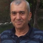 Vedat
