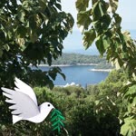 Meral