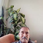 Hamdi