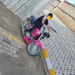 Talip