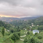 Şikayetçi