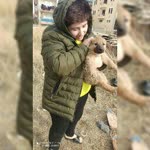 Taylan