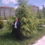 Sevtap