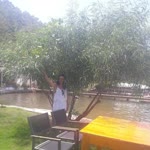 Dilek