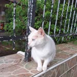 Esma