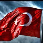 Tamer