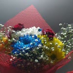 Yasemin
