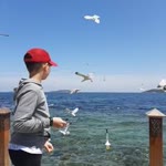 Dilek