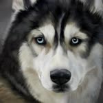 Ayaz