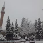 Tolga